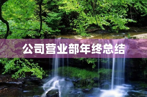 公司营业部年终总结
