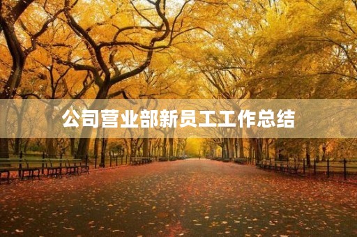 公司营业部新员工工作总结
