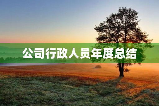 公司行政人员年度总结