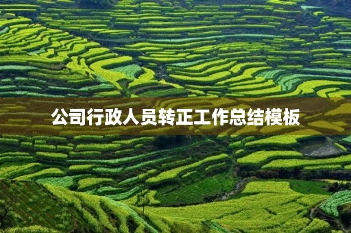 公司行政人员转正工作总结模板（10篇）