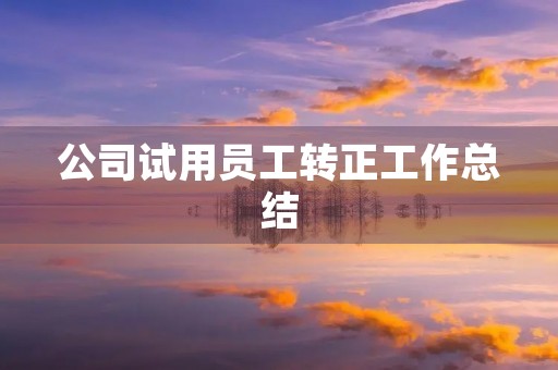 公司试用员工转正工作总结