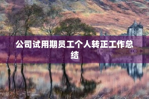 公司试用期员工个人转正工作总结