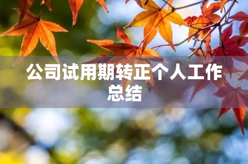 公司试用期转正个人工作总结