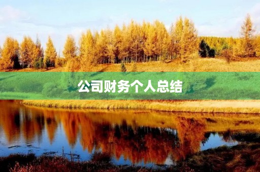 公司财务个人总结