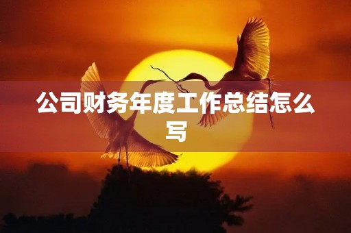 公司财务年度工作总结怎么写 公司财务年度工作总结怎么写