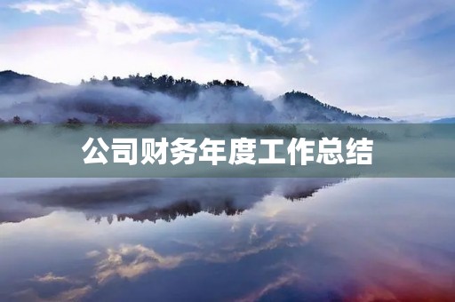 公司财务年度工作总结