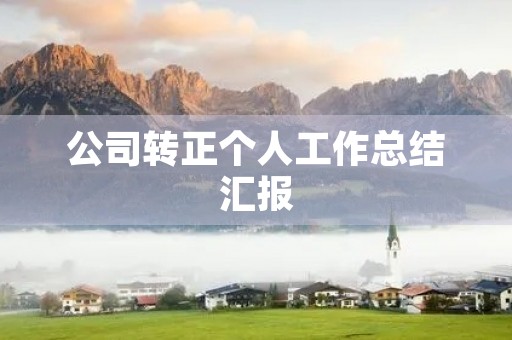 公司转正个人工作总结汇报