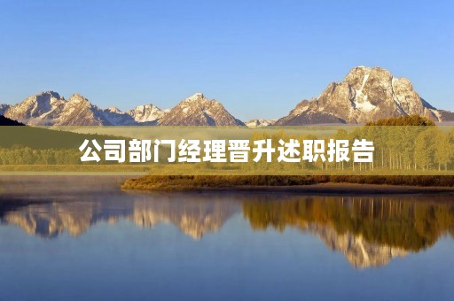 公司部门经理晋升述职报告