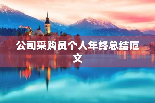 公司采购员个人年终总结范文