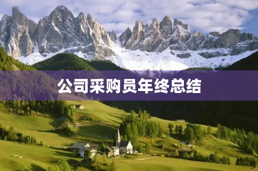 公司采购员年终总结
