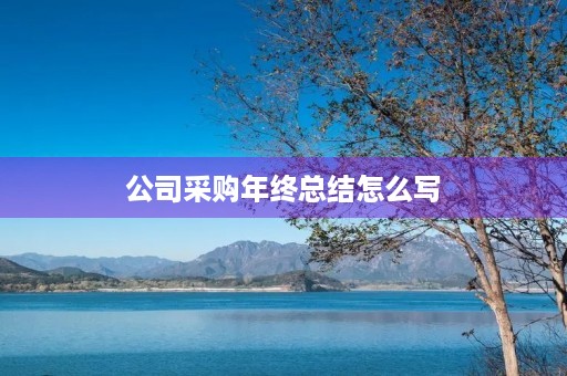 公司采购年终总结怎么写