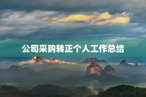 公司采购转正个人工作总结