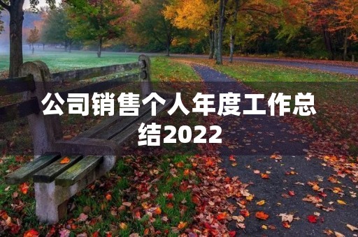 公司销售个人年度工作总结2022