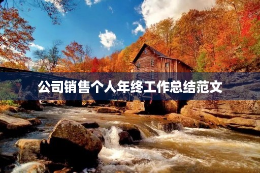 公司销售个人年终工作总结范文