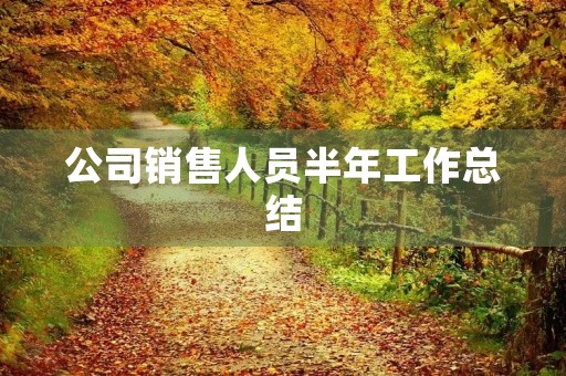 公司销售人员半年工作总结