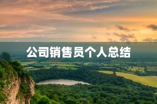 公司销售员个人总结