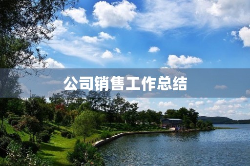 公司销售工作总结