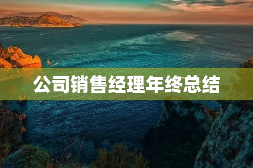 公司销售经理年终总结