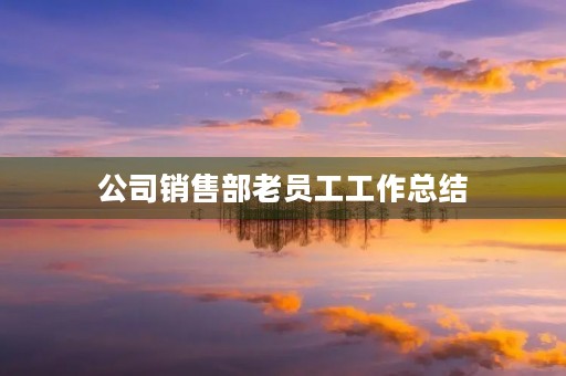 公司销售部老员工工作总结