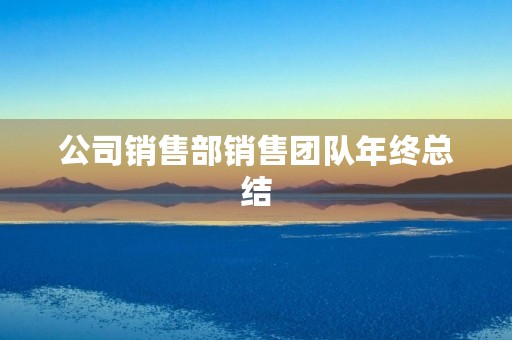 公司销售部销售团队年终总结
