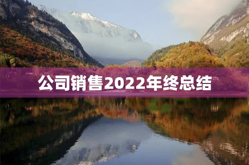 公司销售2022年终总结