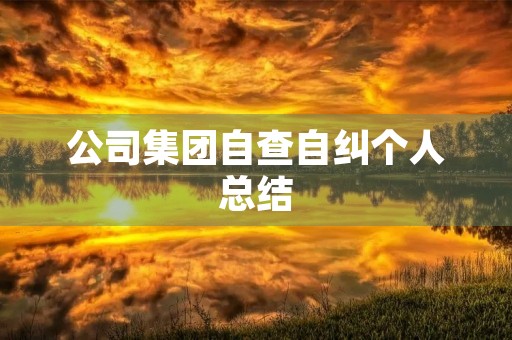 公司集团自查自纠个人总结