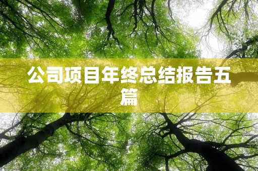 公司项目年终总结报告五篇