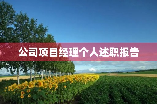 公司项目经理个人述职报告 公司项目经理个人述职报告