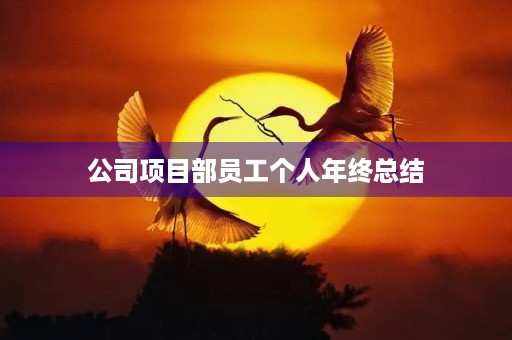 公司项目部员工个人年终总结 公司项目部员工个人年终总结
