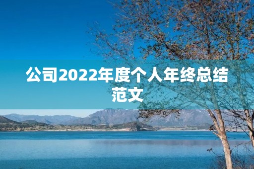 公司2022年度个人年终总结范文