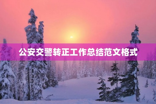 公安交警转正工作总结范文格式