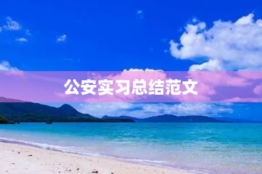 公安实习总结范文 公安实习总结范文