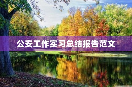 公安工作实习总结报告范文 公安工作实习总结报告范文