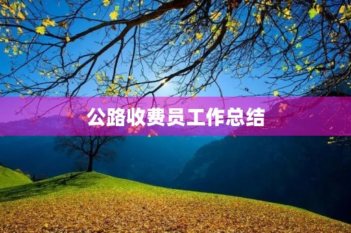 公路收费员工作总结