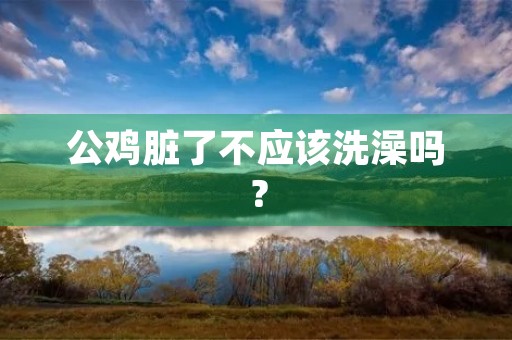 公鸡脏了不应该洗澡吗? 公鸡脏了不应该洗澡吗?