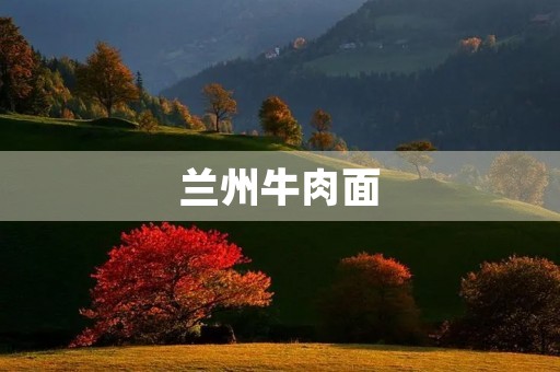 兰州牛肉面