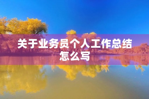 关于业务员个人工作总结怎么写