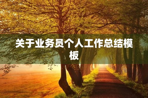 关于业务员个人工作总结模板