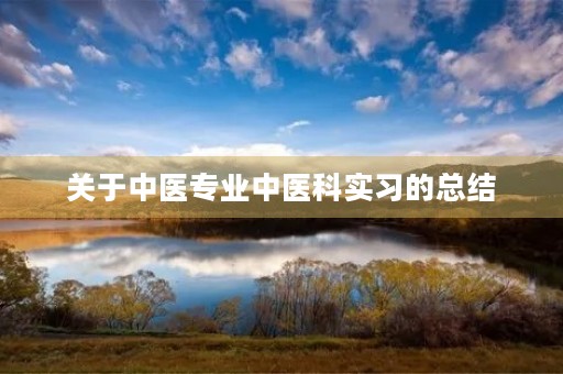关于中医专业中医科实习的总结