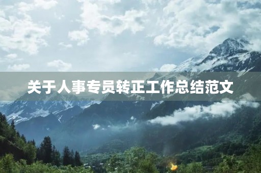 关于人事专员转正工作总结范文