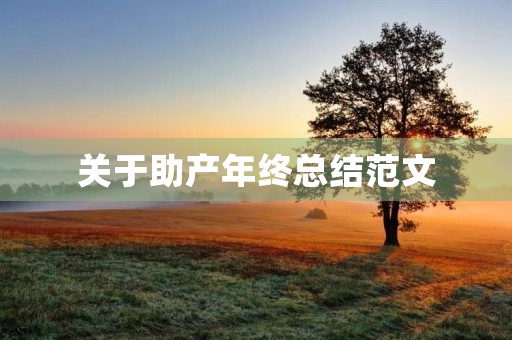 关于助产年终总结范文