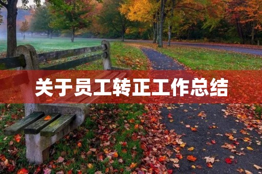 关于员工转正工作总结