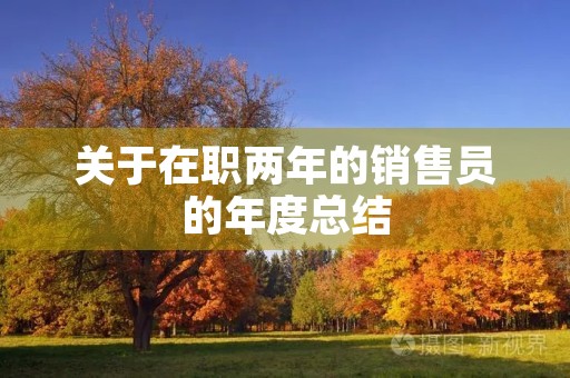关于在职两年的销售员的年度总结