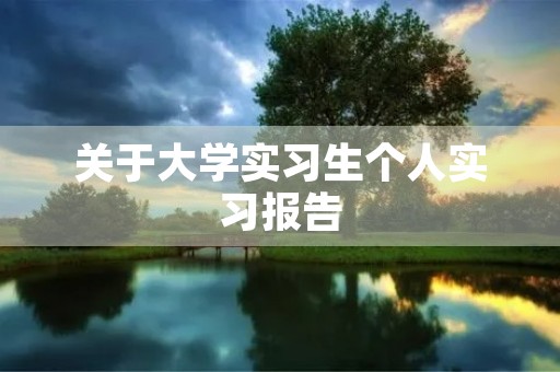 关于大学实习生个人实习报告 关于大学实习生个人实习报告
