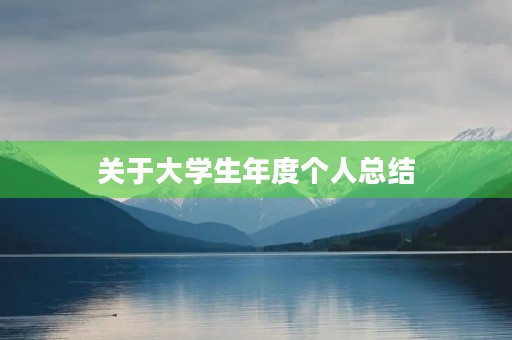 关于大学生年度个人总结 关于大学生年度个人总结