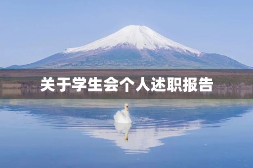 关于学生会个人述职报告