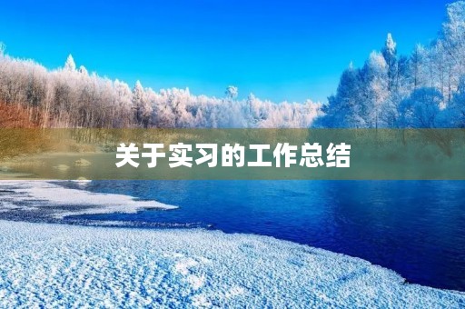 关于实习的工作总结（13篇）