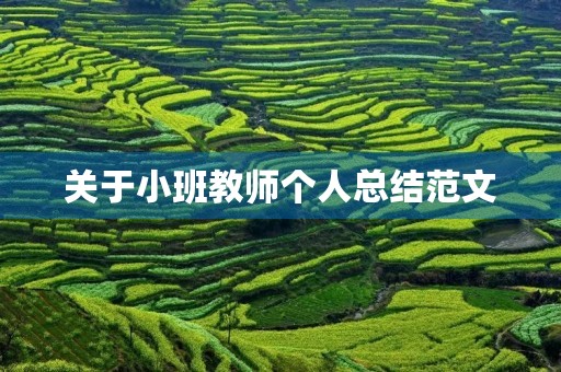 关于小班教师个人总结范文