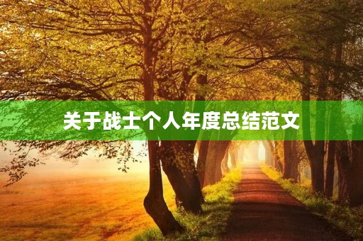 关于战士个人年度总结范文
