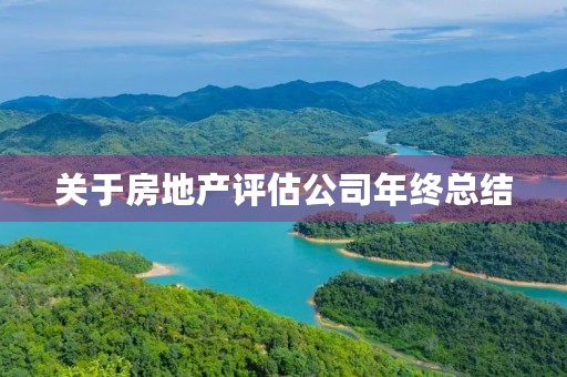 关于房地产评估公司年终总结